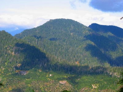 "Lumber Mill Mountain"