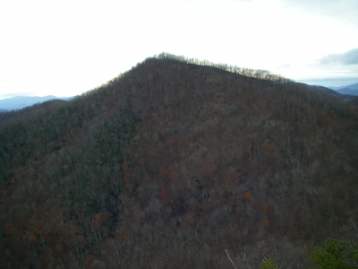 Buck Cove Mountain