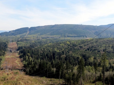 "Rattlesnake Mountain Northwest"