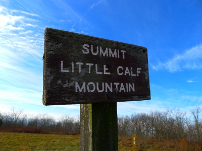 "Little Calf Mountain"