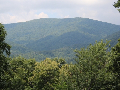 Big Bald Mountain