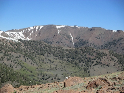 Jefferson, Mount-North Summit
