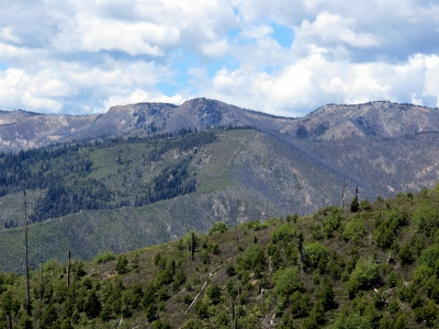 Angle Peak