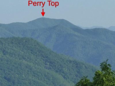 Perry Top