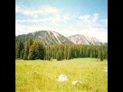 Moffit Peak