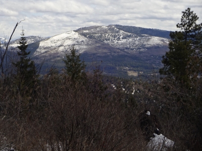 Tyson Peak