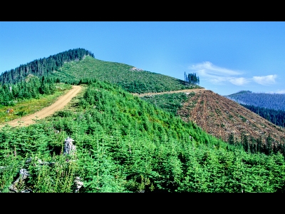 Pyramid Peak