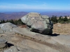 Grassy Ridge Bald