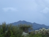 Brownell Peak