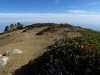 Cucamonga Peak