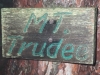 "Mount Trudee"
