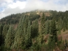 Shriner Peak