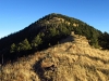 Timber Peak