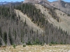 Spruce Mountain