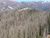 Spruce Mountain