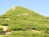 Nogal Peak