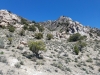 Desert Mountain