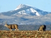 Helmet Peak