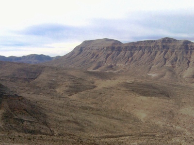 "Joshua Tree"
