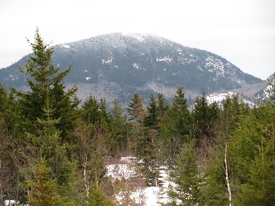 York Hill