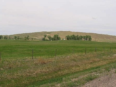 Morton Hill