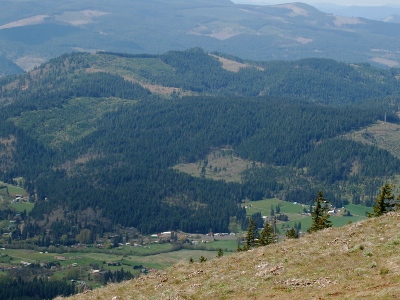 Middle Mountain