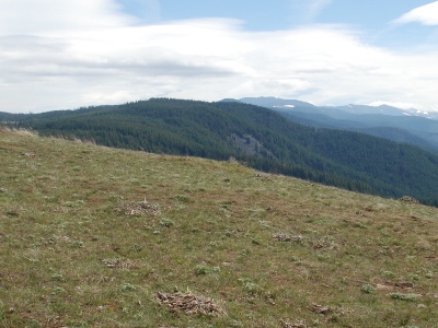 Surveyors Ridge