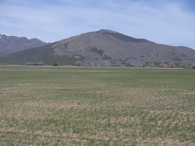 Sheps Ridge