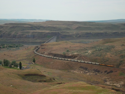 "Lyons Head"