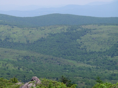 Third Peak