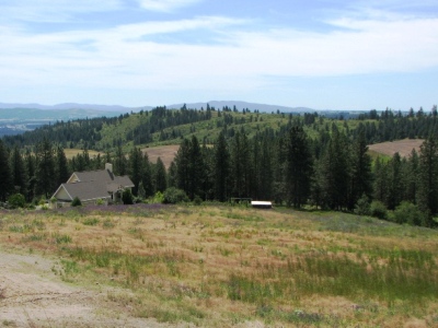 Lockhart Hill
