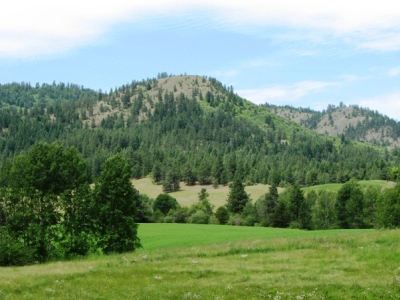 Bald Mountain