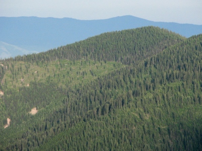 Bitterroot Mountain