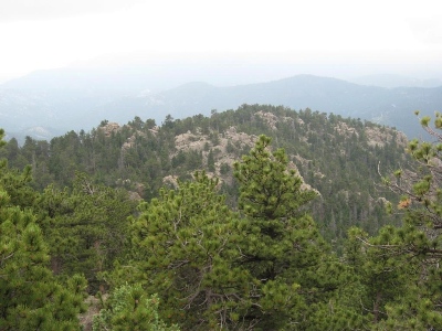 Bighorn Point