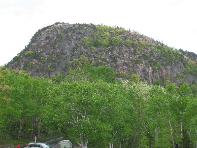 Beehive, The