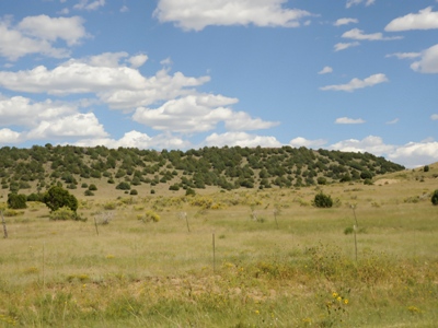 Cedar Canyon Mesa