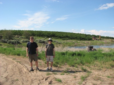 Stemilt Hill