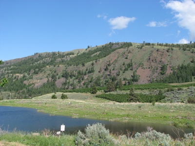Laurel Hill