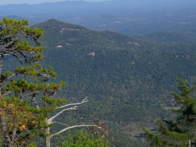 Youngs Mountain