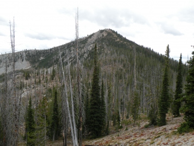 Shephard Peak