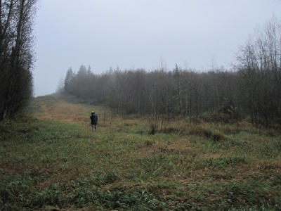 Goat Hill