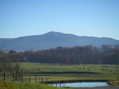 Cellar Mountain