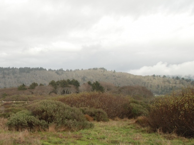 Orick Hill