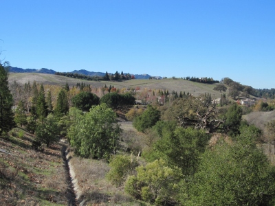 Boon Hill