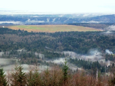 Cedar Hills