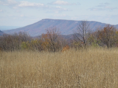 Morris Knob