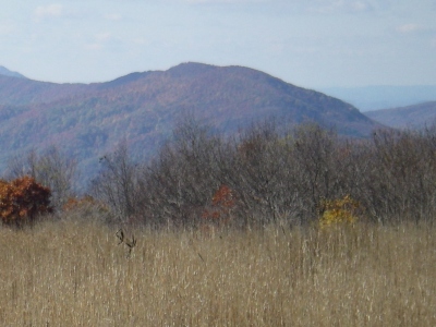 Clinch Mountain