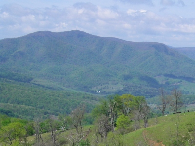 Middle Knob