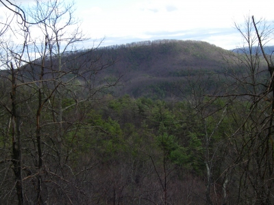 Round Mountain
