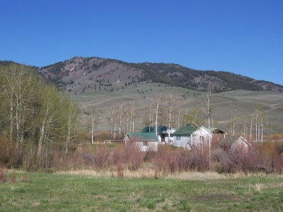 "Cubby Peak"